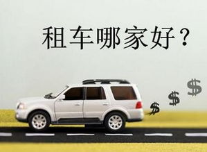 三亞租車公司產(chǎn)品圖片 三亞租車公司店鋪裝修圖片